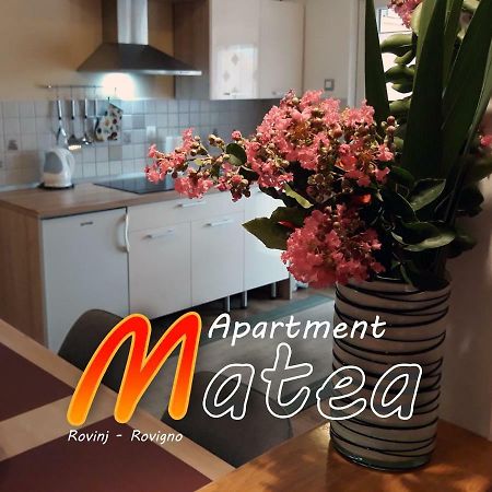 Apartment Matea Rovinj Extérieur photo